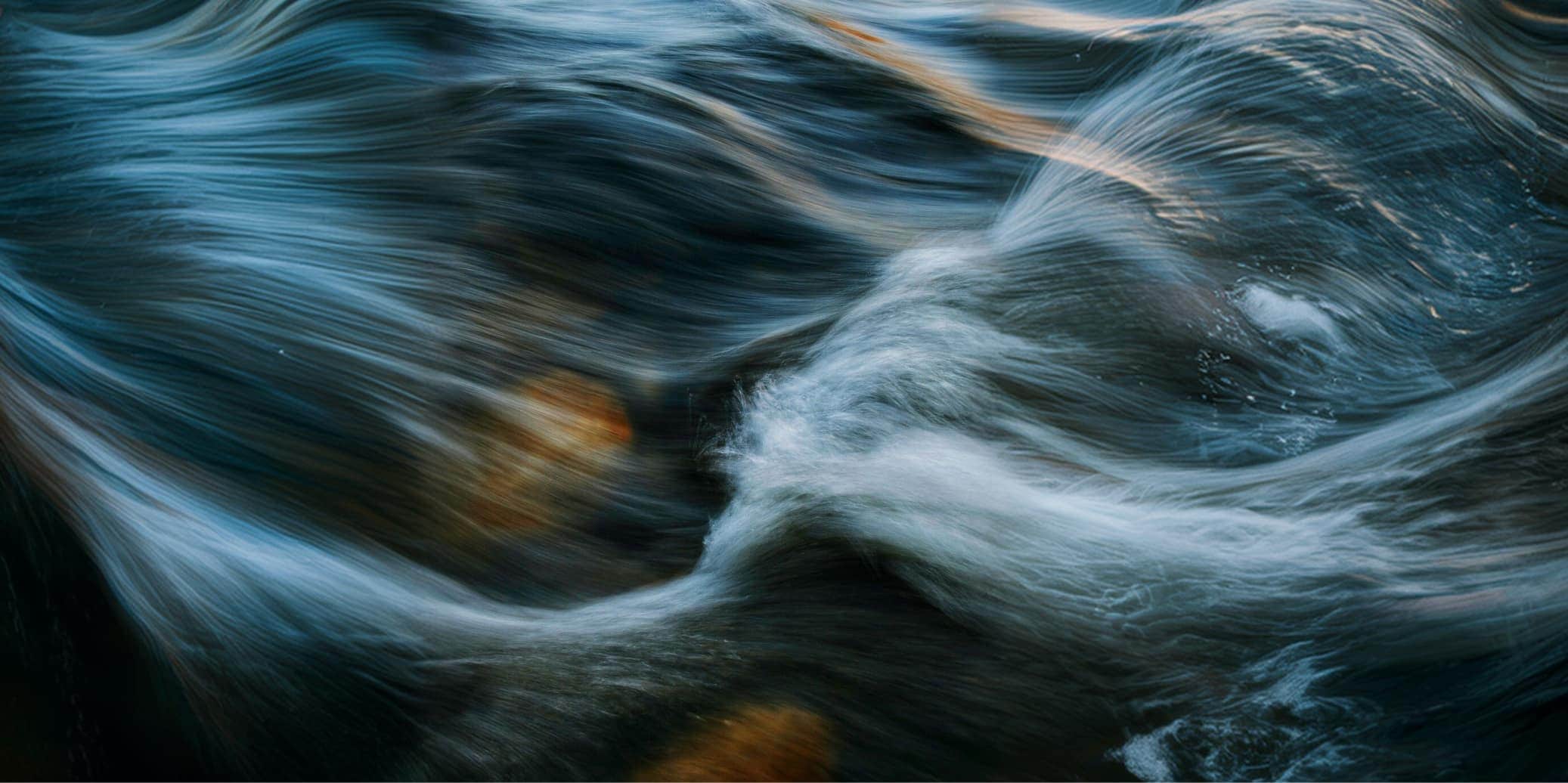 Angler standing in a forest river